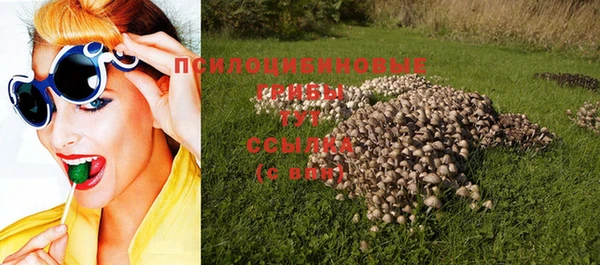 а пвп мука Белокуриха