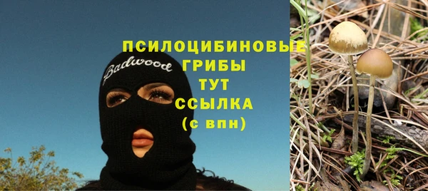 а пвп мука Белокуриха