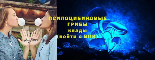 а пвп мука Белокуриха
